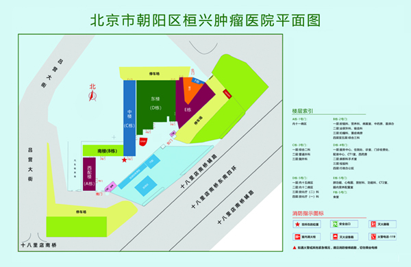 操鸡66xx北京市朝阳区桓兴肿瘤医院平面图